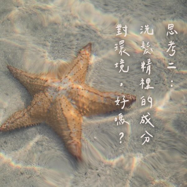 肉桂/ 檸檬草 森髮豐盈護色洗髮精(油乾性皆適用)