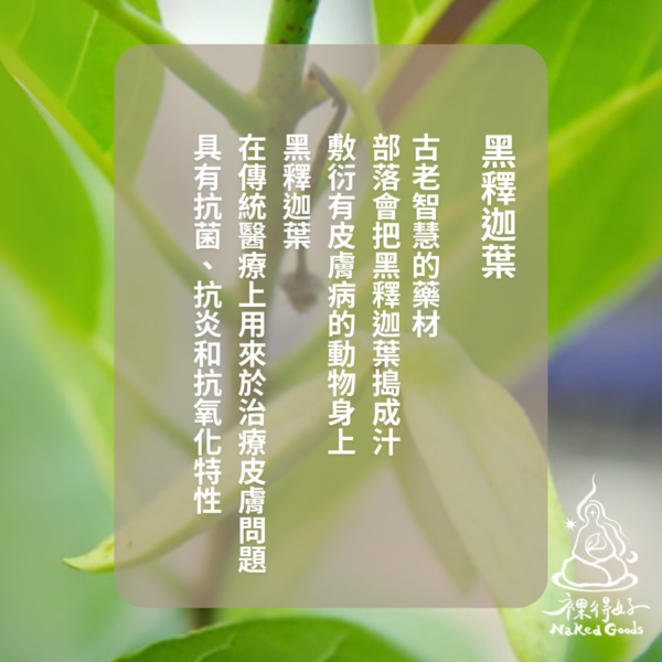 黑釋迦葉皮膚救星寵物洗劑（貓不適用）